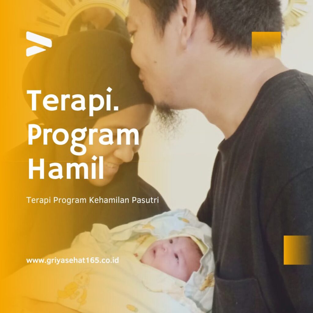 program hamil, promil, program kehamilan