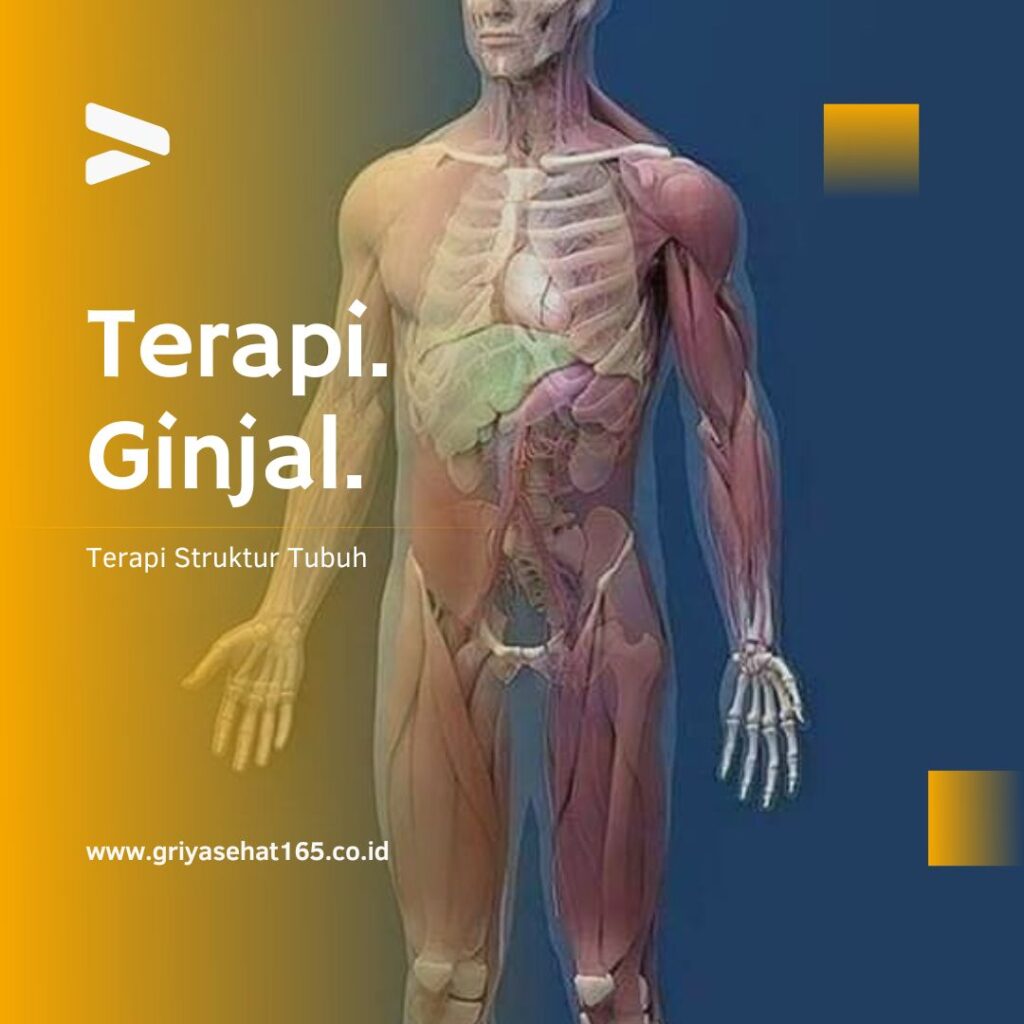 terapi ginjal